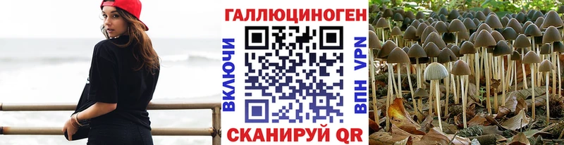 Купить где  Гай  Галлюциногенные грибы GOLDEN TEACHER 